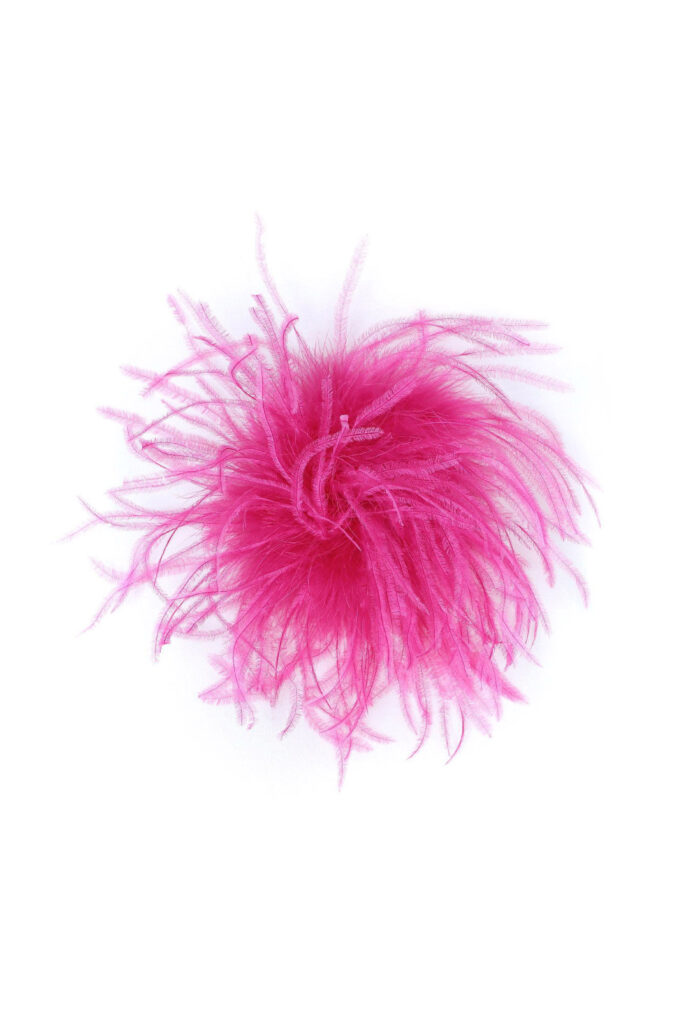 FUCSIA