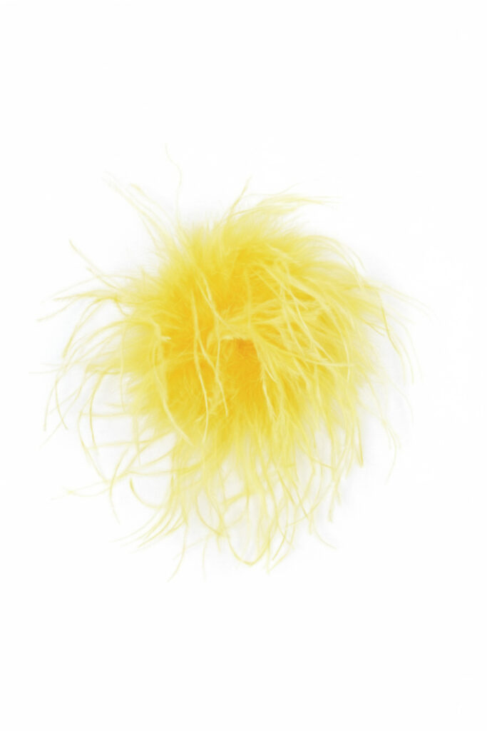 CANARY